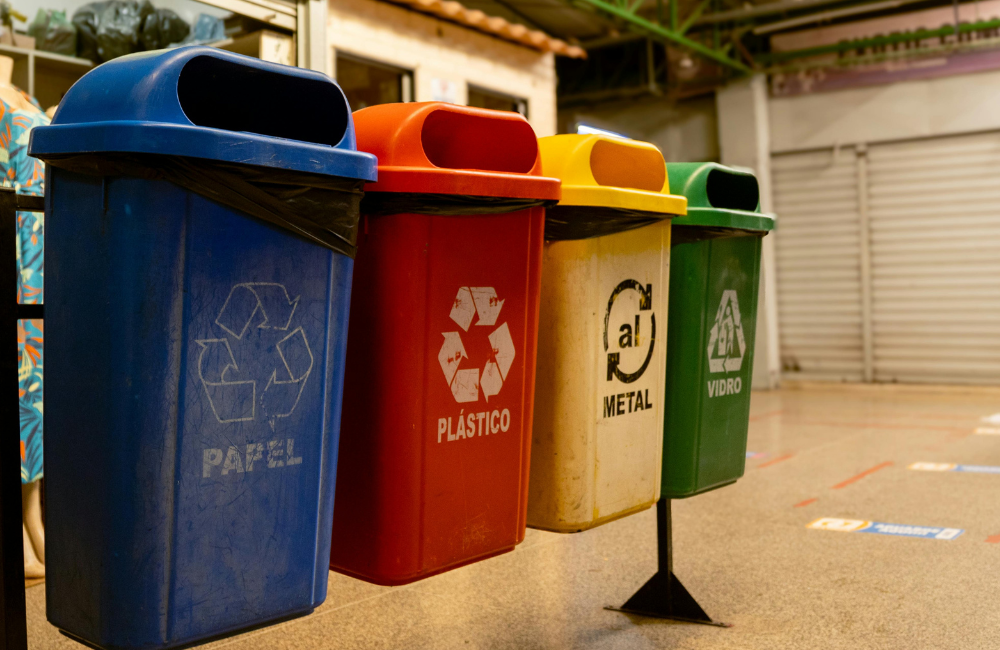 Coleta Seletiva e Conscientização: Caminhos para a Sustentabilidade Corporativa